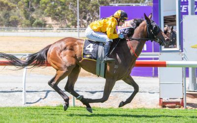 All the way win for Queen Of Hawks