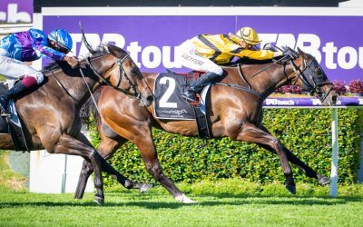 Acromantula back to his best in Miss Andretti Stakes