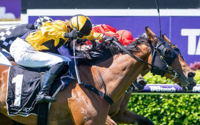 Famous Dain salutes second up