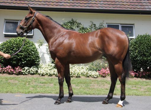 Justify X Arcadia Angel