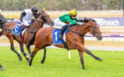 Half a dozen for Platinum Shot