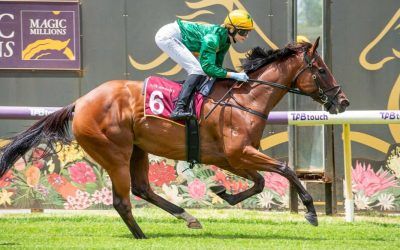 Deserved first Saturday win for Platinum Shot