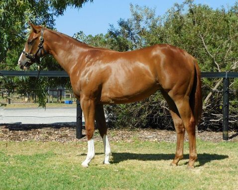 Safeguard X Miss Denni