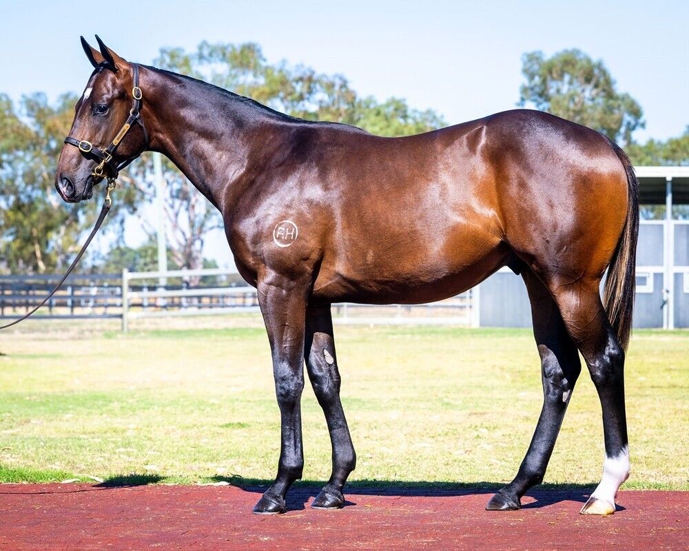 Lightsaber X From Fromm