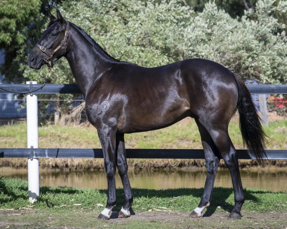 Sessions X Love Ends