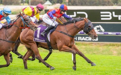 Noble Connection bounces back second-up