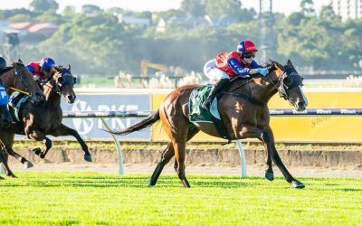 Dominant win by Rally The Troops