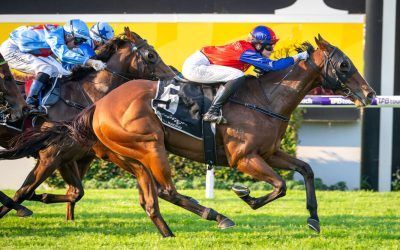 Ascot and Narrogin Cup double for Pearces