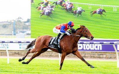 Strong return by A Summer Fling
