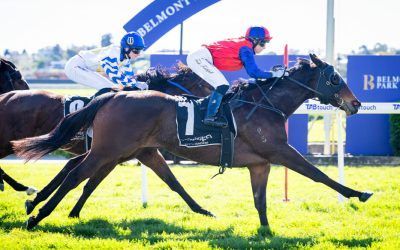 Nice return by Properata