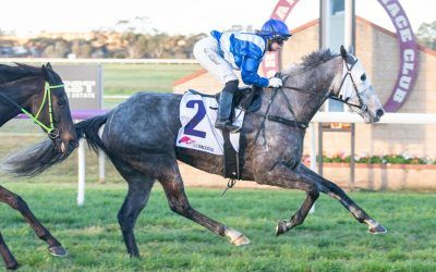 Eternal Romance salutes at Northam