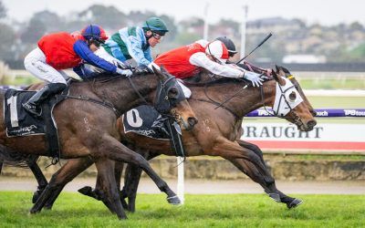 First Saturday win for Spinarella