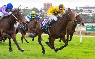 Stylish first win for Vampi Queen