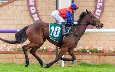 Northam double for Pearces and Faithfull