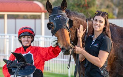 Blinkers do the trick for Sponge Cake