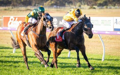 Decoration salutes second up