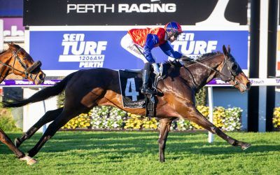 Ascot double for Pearce stable