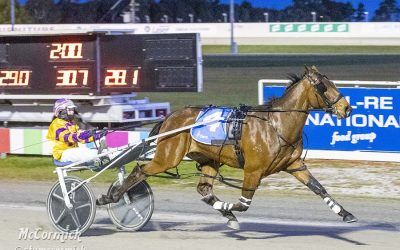 Trots Review: A Wave of success awaits as young stars shine