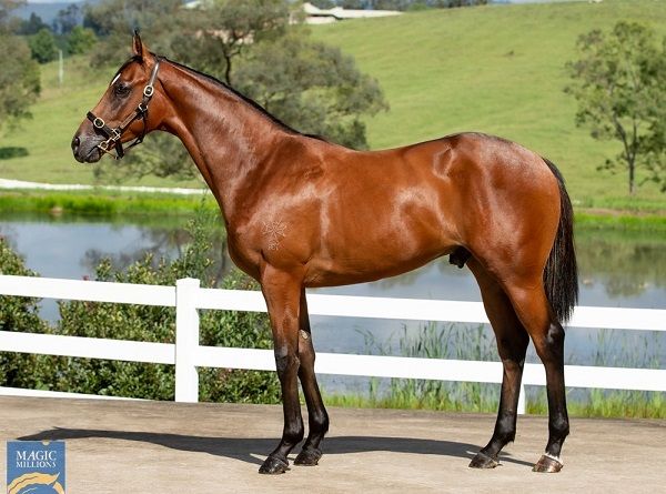 Pariah X Madam Zabeel