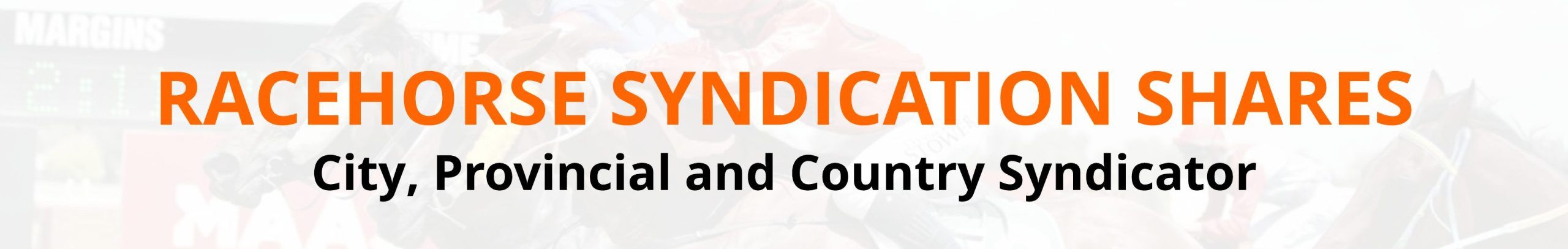 racehorse syndication shares