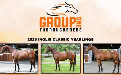 3 New Recruits from the 2025 Inglis Classic Yearling Sale