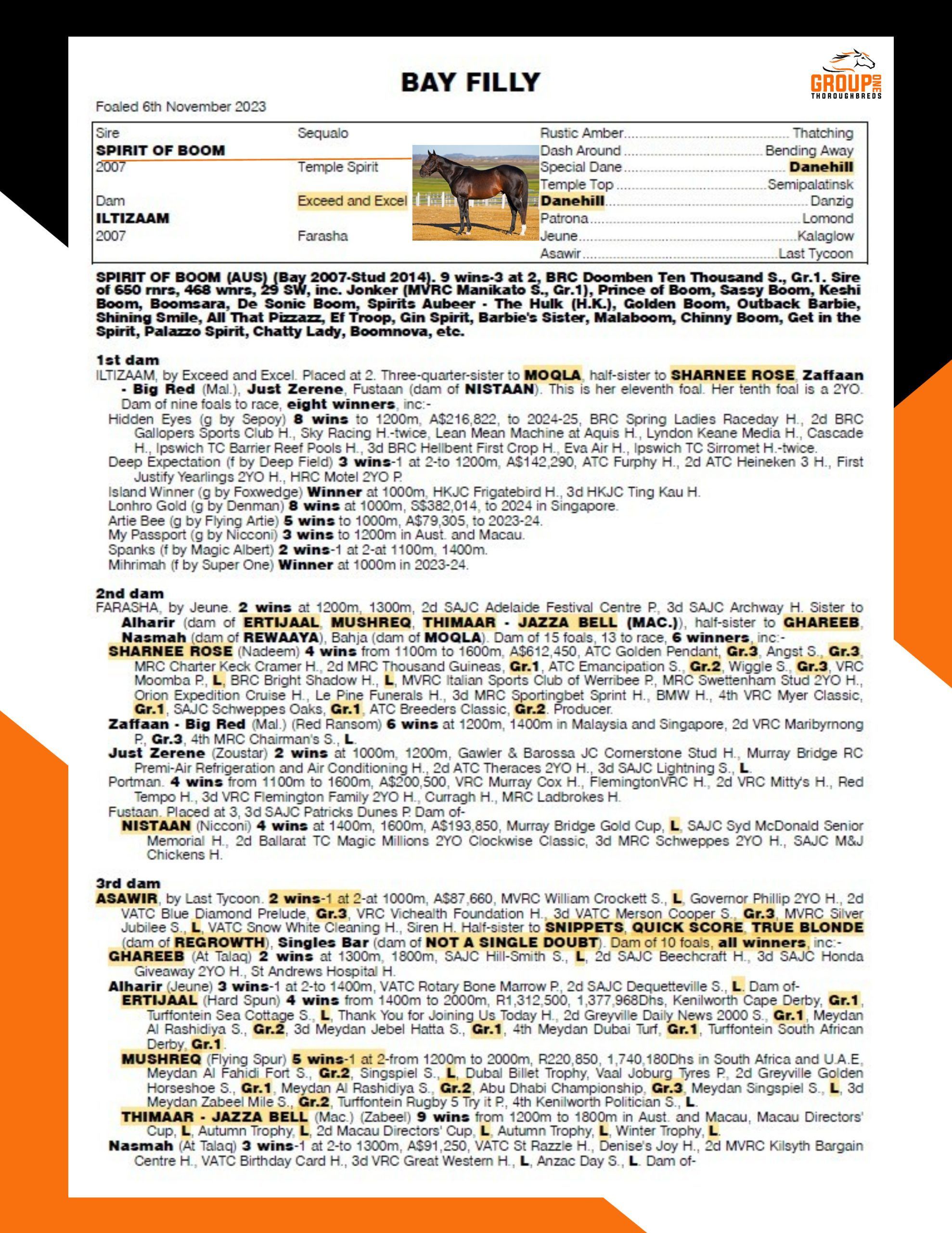 Gr1 Peds - Spirit of Boom (1)