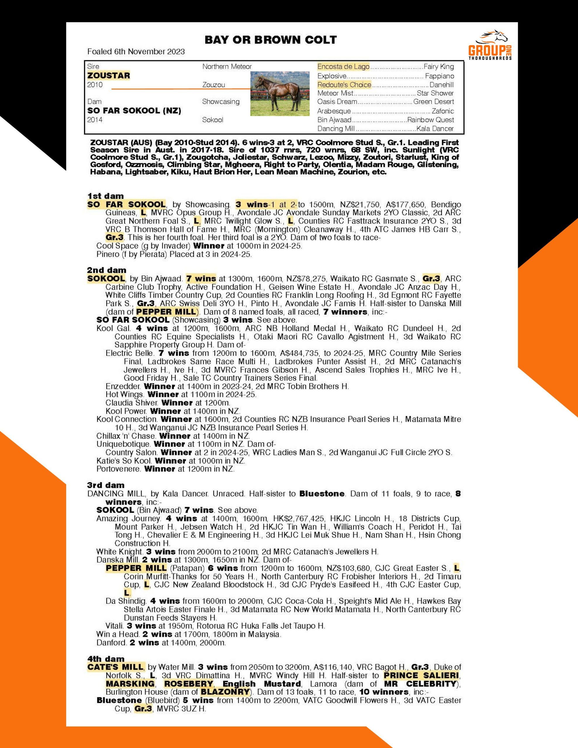 Gr1 Peds - Zoustar (1)