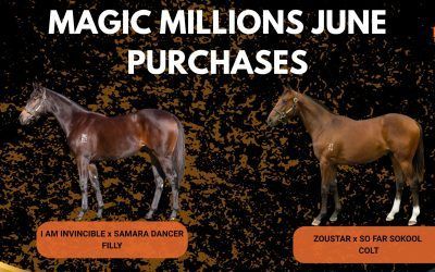 A DUO OF MAGIC MILLIONS YEARLINGS