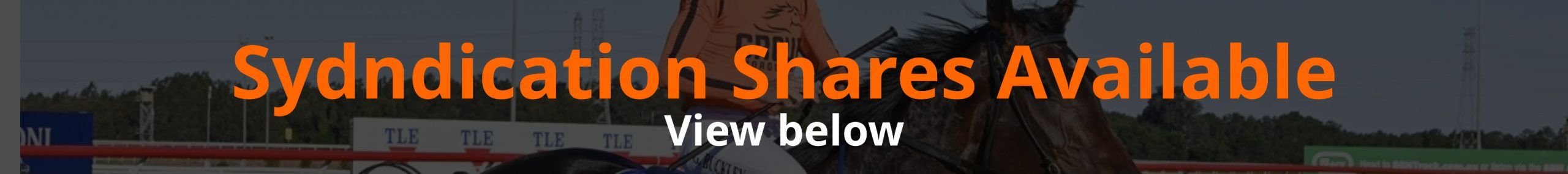 Syndication Shares