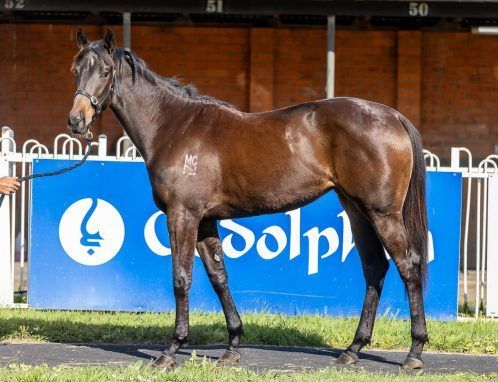 I Am Invincible x Samara Dancer