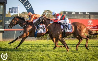 CRISTAL CLEAR STRIKES GOLD AT DUBBO!
