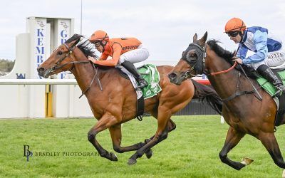 NO SECRET ABOUT SAVVY SPY ON DEBUT