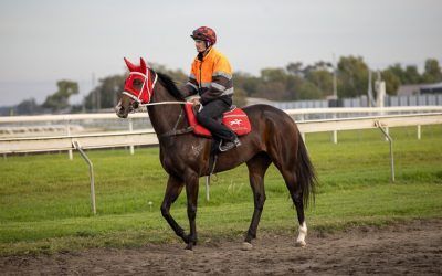 SHE’S EXOTIC BOUNCES BACK TO HER BEST