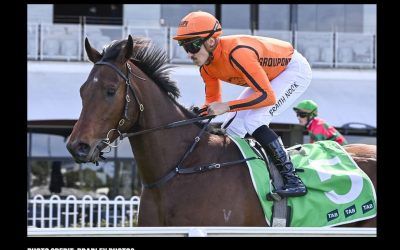 Cristal Clear Accepted for $10 Million Golden Eagle