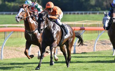 CONSIDERED MAKES IT THREE ON THE BOUNCE