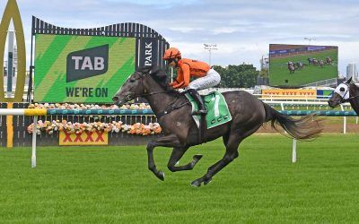 BRUTAL MISS WAY TOO CLASSY ON DEBUT