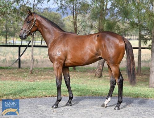 I Am Invincible x Samara Dancer