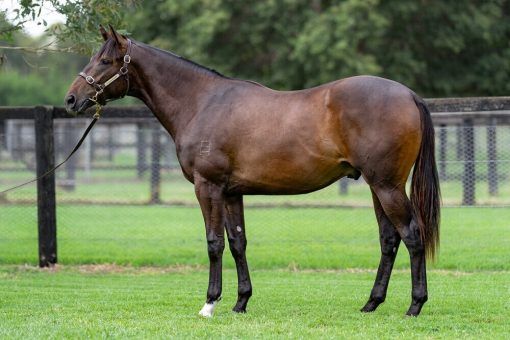 So You Think X Sweet Fire