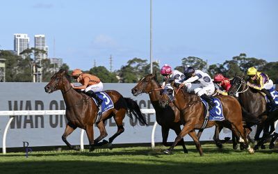 SUPER SATURDAY FOR GROUP ONE THOROUGHBREDS