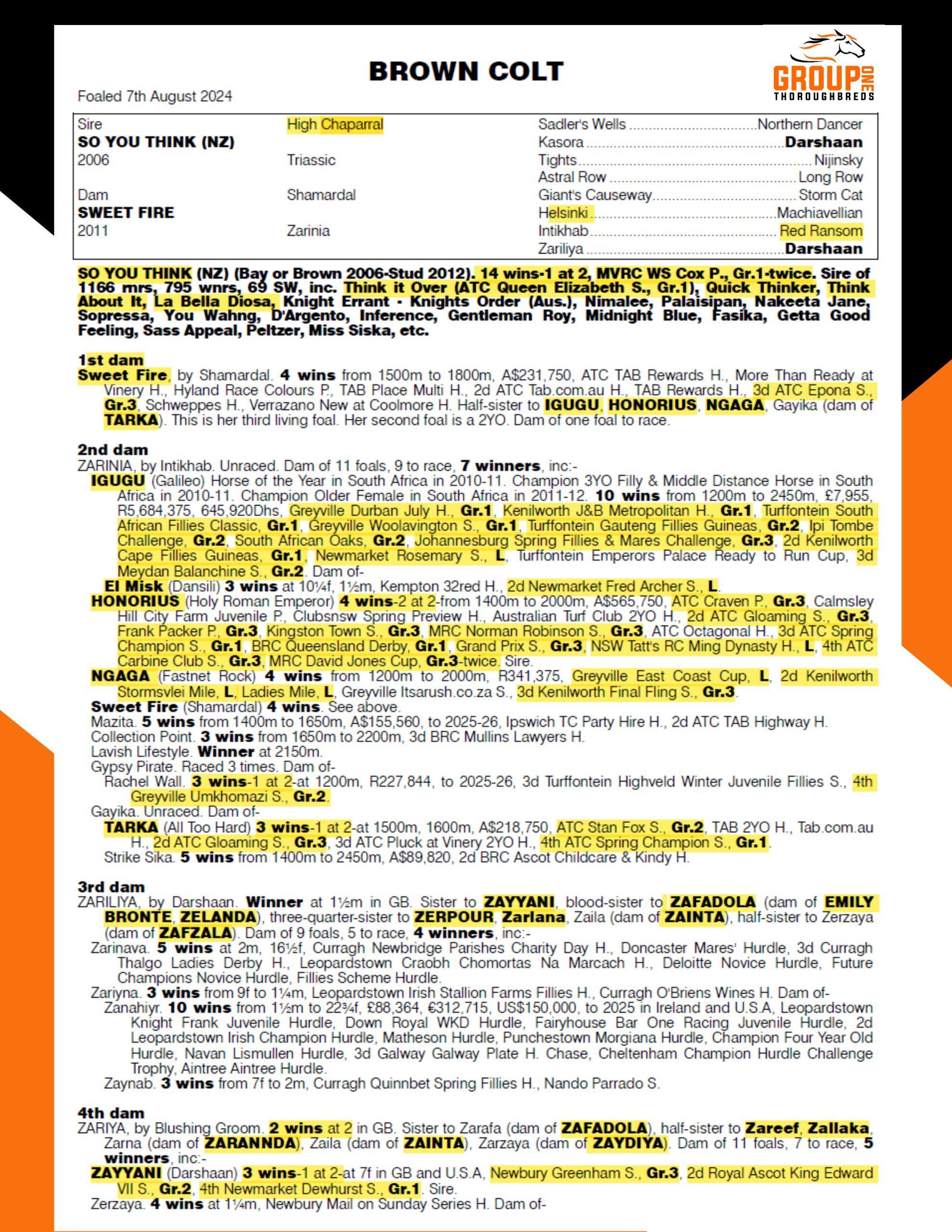 So You Think Pedigree