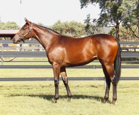 Stay Inside x Press Report