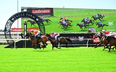 Brutal Miss and Social Outcast Deliver the Goods