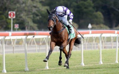 SHARPAY RULER WINS ON DEBUT FOR RACING CLUB