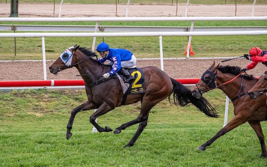 FINE RUBY WITH A GRITTY DISPLAY AT HAWKESBURY