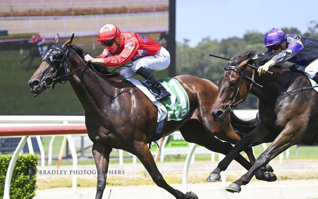 Up and Comer gets the win at Wyong