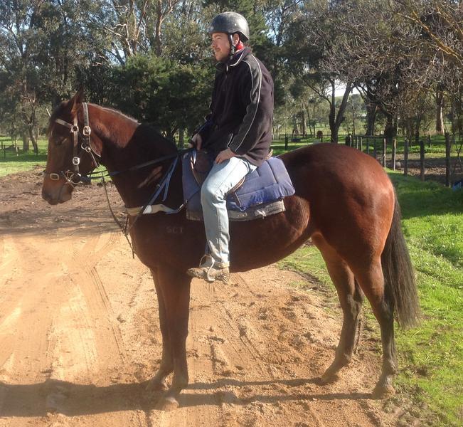 A solid foundation and introduction to a "Career As A Racehorse
