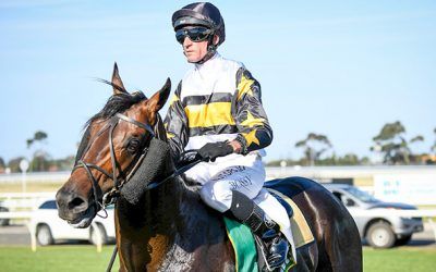 Stride With Slade – May 2025