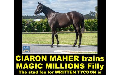 Stunning WRITTEN TYCOON filly stud fee is $165,000 makes this filly a real steal!!! MAGIC MILLIONS filly 2yo winners galore in the family!