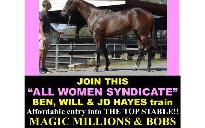 Exciting Women’s Only Race Horse Syndicate ! Classy EXCEEDANCE filly with the HAYES TEAM! This will be a fun group!