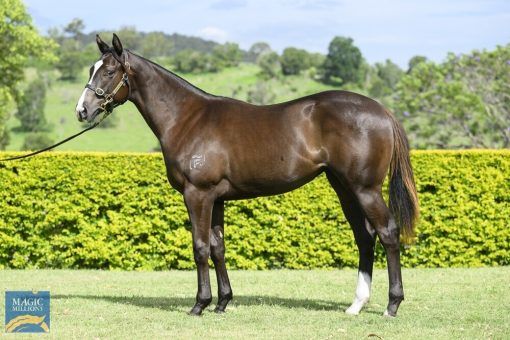 BETTER THAN READY X COMMANDING EPIC FILLY